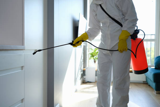 Best Same-Day Mold Removal  in Winchester, TN