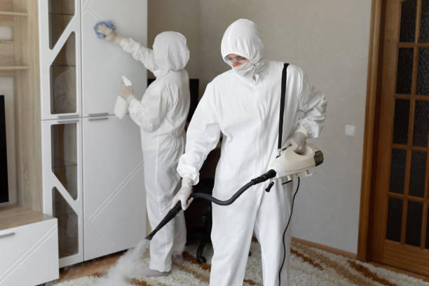 Mold Testing and Removal in Winchester, TN